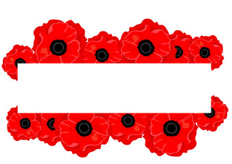 Vector background banner with red poppies