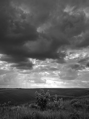 Fields landscape in summer sunset and sunrise