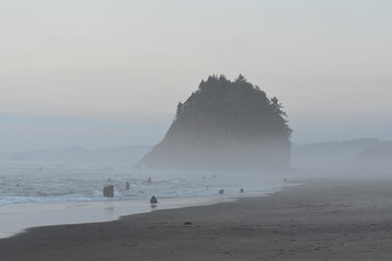 Foggy Coastline Landscape