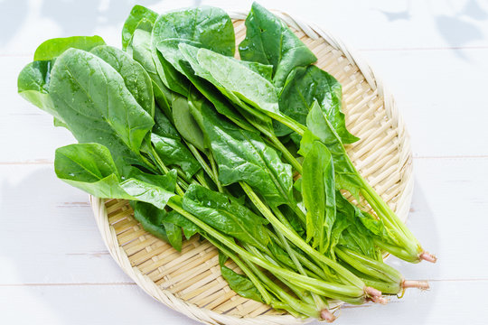 食材 ほうれん草