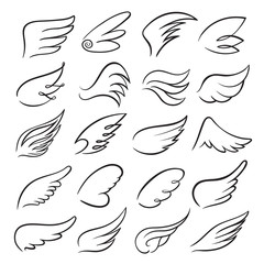 Wings icon set, bird drawing in motion