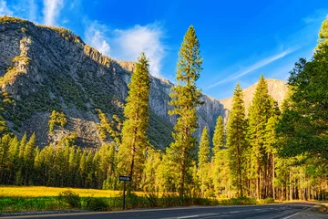 Fototapeten Yosemite Valley. Magnificent national American natural park - Yosemite. © BRIAN_KINNEY