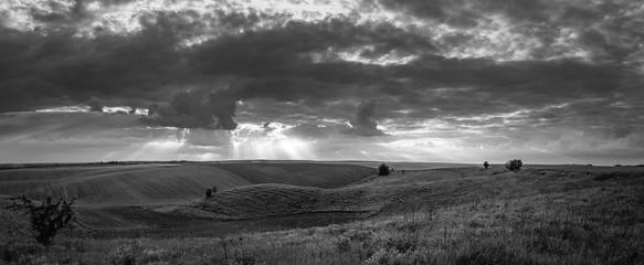 Fields landscape in summer sunset and sunrise