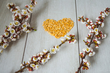 heart of peas and blossomed apricot branches