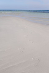 footprints at the tropical white beach with blue sky and turquoise sea water a relaxing exotic scene