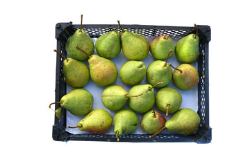 ripe organic pears harvest in a plastic box isolated