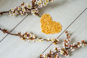 heart of peas and blossomed apricot branches