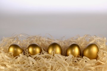 Five golden eggs in chips nest along the bottom of the frame. Front view from above. With...