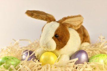 A plush bunny with a yellow egg in its paws in a nest with painted Easter eggs. Large in the center.