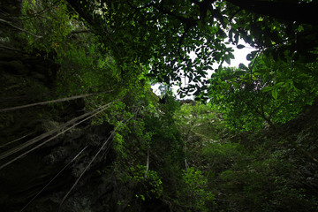 Obraz premium Jomblang cave, Java, Indonesia