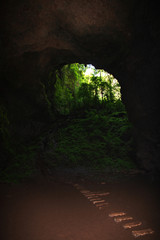 Jomblang cave, Java, Indonesia