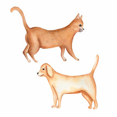 Watercolor painting of a dog and red cat.Hand drawn cute domestic animals.