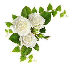 Rose flowers with green ivy leaves in a corner arrangement