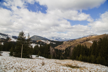 Landscape on the topic: Go where you feel most alive