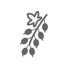 Red currant. Black currant with leaf outline icon