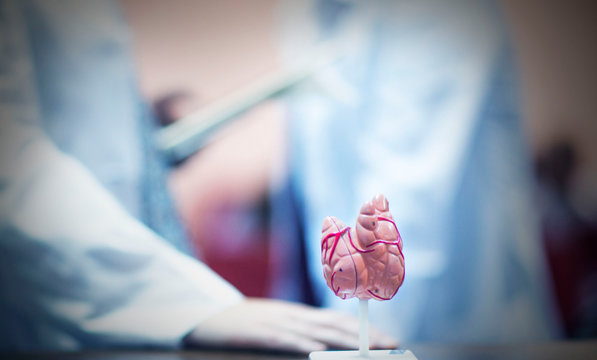 meeting of endocrinologists about the treatment of thyroid disease