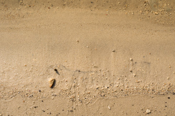 the texture of the sand is yellow. close up. background image