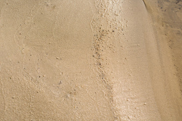 the texture of the sand is yellow. close up. background image