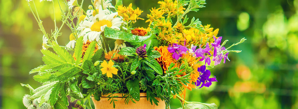 Herbs in a mortar. Medicinal plants. Selective focus.