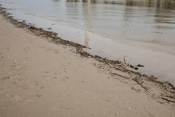 A river bank with some floatsam