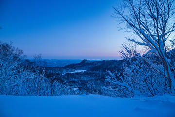 Rime on trees and a hachimantai