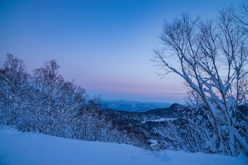 Rime on trees and a hachimantai