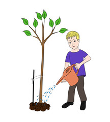  The boy is a gardener. A boy is pouring a small tree out of a watering can. Vector image.
