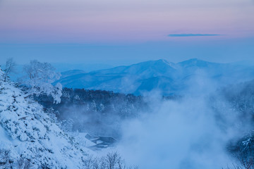 Rime on trees and a hachimantai
