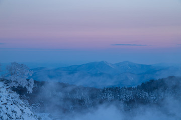 Rime on trees and a hachimantai
