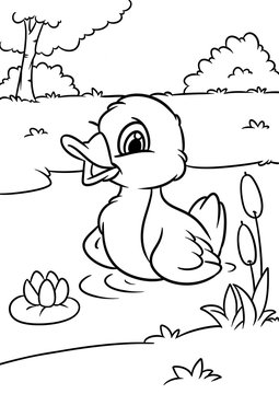 Little cheerful duckling animal character cartoon illustration nature pond swim coloring page