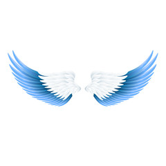 Fototapeta na wymiar wide open realistic angel wings