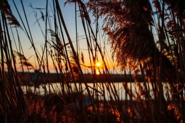 Fototapeta premium sea sunset