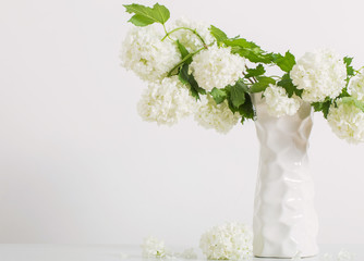 branches of decorative viburnum in a vase on white background