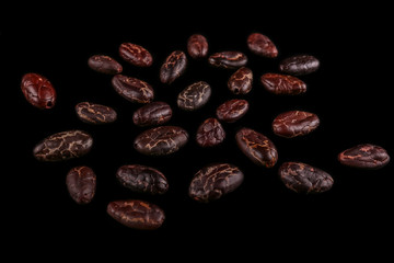 Roasted beans. Cocoa beans and coffee beans isolated on black background.