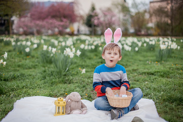 Little cute boy sitting on the grass near the daffodils. A boy dressed as an Easter bunny.