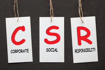 Corporate Social Responsibility (CSR)