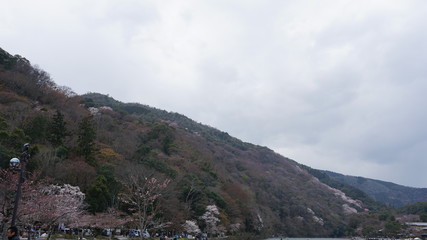 Fototapeta na wymiar 嵐山