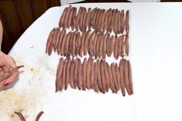 elaboración de preparación artesanal de la anchoa del cantabriaco, Santoña