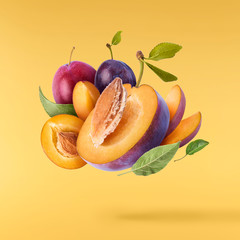 Creative image with fresh plum