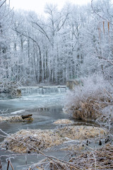 Snowy river in winter