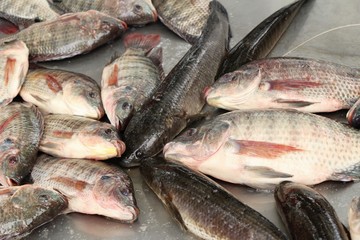 Fresh fish for cooking at street food