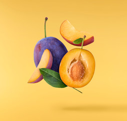 Creative image with fresh plum