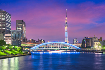 Tokyo, Japan skyline on the Sumida River at night.
