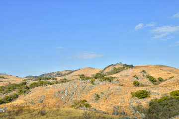 冬の青空の平尾台