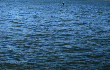 lost at sea cr 2019darrelljbanks