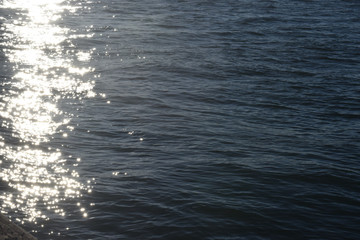 spring naturally cr2019darrelljbanks