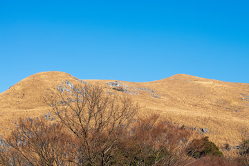 冬の青空の平尾台