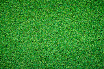 Green grass background