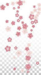 Vector Realistic Pink Flowers Falling on Transparent Background.  Spring Romantic Flowers Illustration. Flying Petals. Sakura Spa Design. Blossom Confetti. Design Elements for Wedding Decoration.