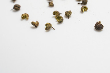 varies seasoning scattered in white background, pepper,shirmp,salt,curry,